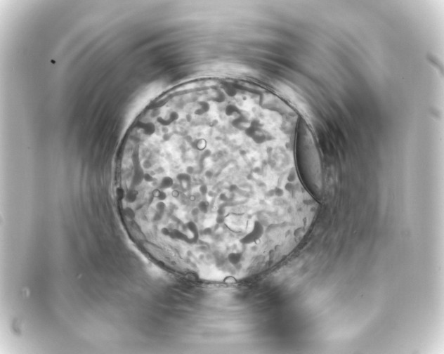 X0000093251103200710241310