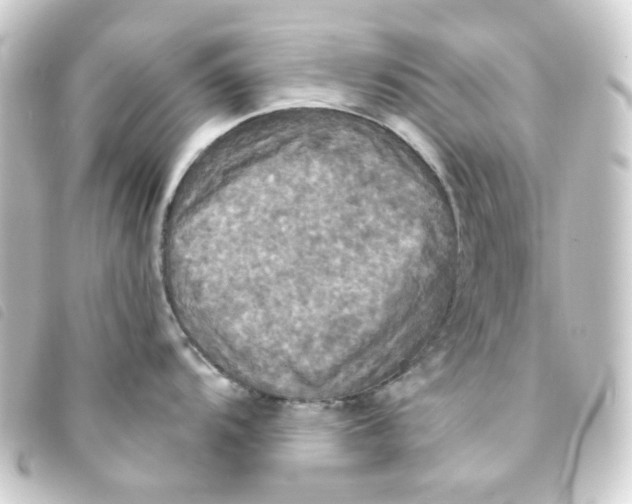 X0000093251104200710241309