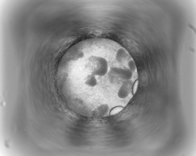 X0000093251105200710241309