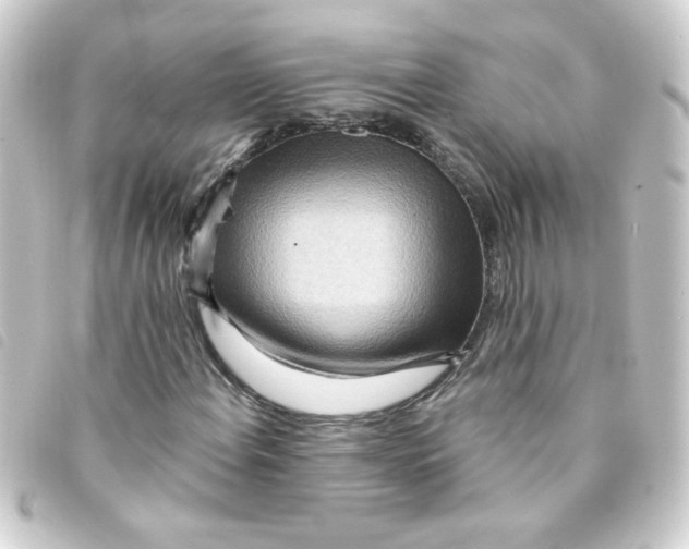 X0000093251108200710241309