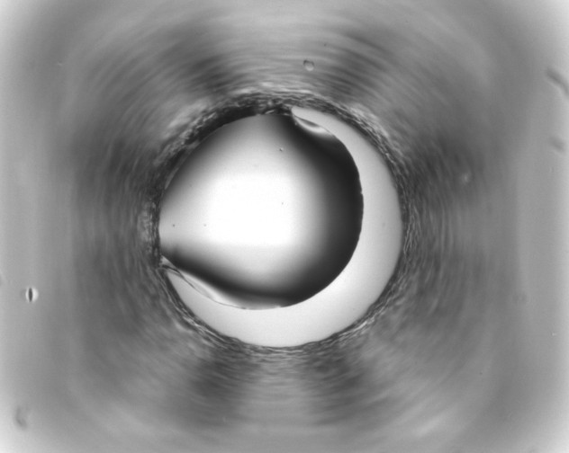 X0000093251110200710241309