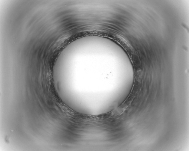 X0000093251111200710241309