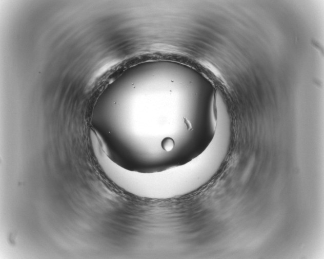 X0000093251112200710241309