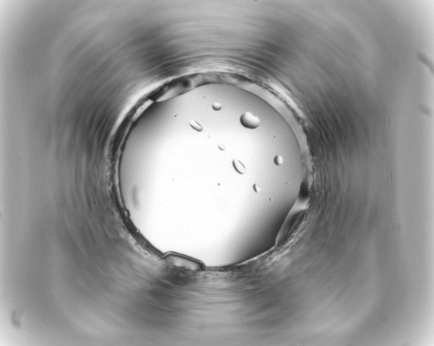 X0000093251116200710241309