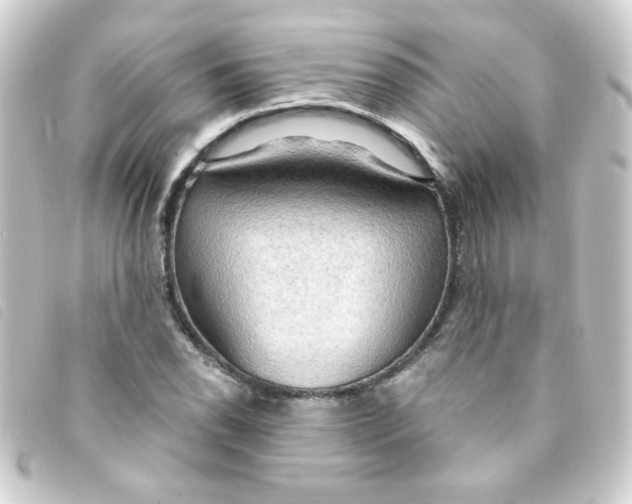 X0000093251118200710241309