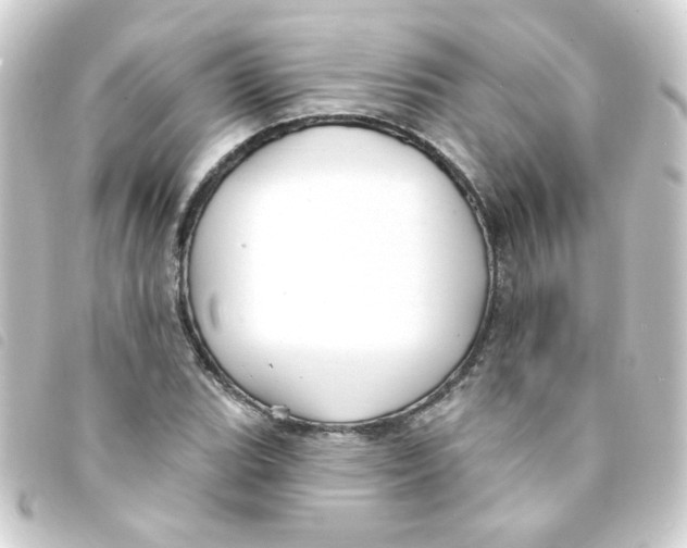 X0000093251119200710241309