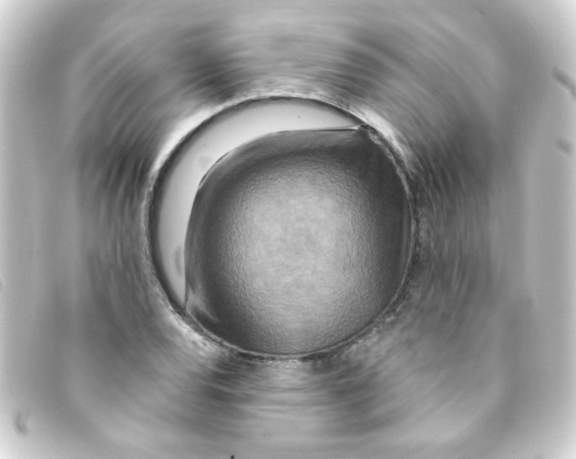 X0000093251120200710241309