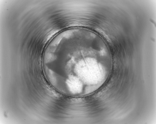 X0000093251121200710241309