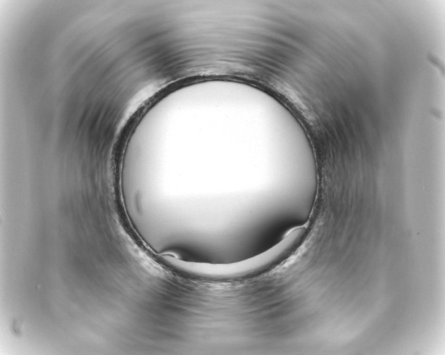 X0000093251122200710241309