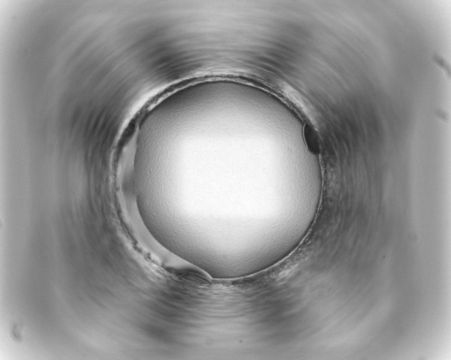 X0000093251124200710241309