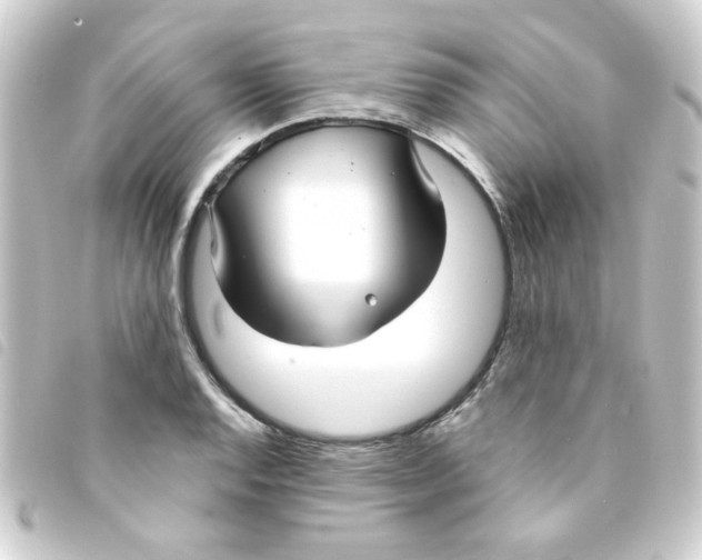 X0000093251128200710241309