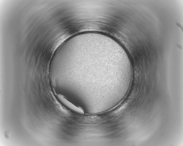 X0000093251129200710241309