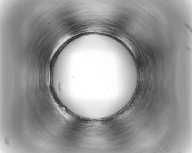 X0000093251131200710241309