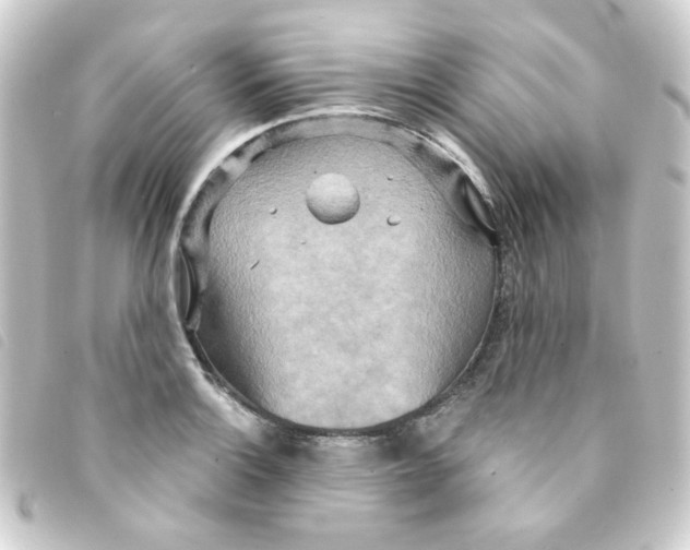 X0000093251132200710241309