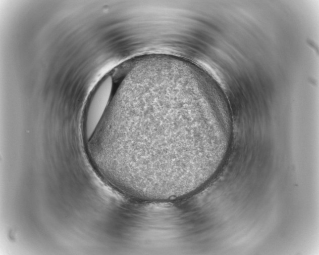 X0000093251133200710241309