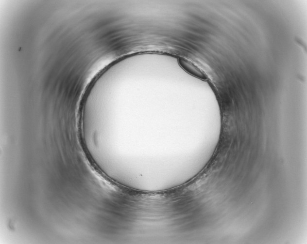 X0000093251135200710241309