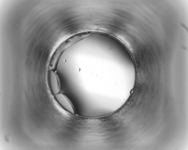 X0000093251136200710241309