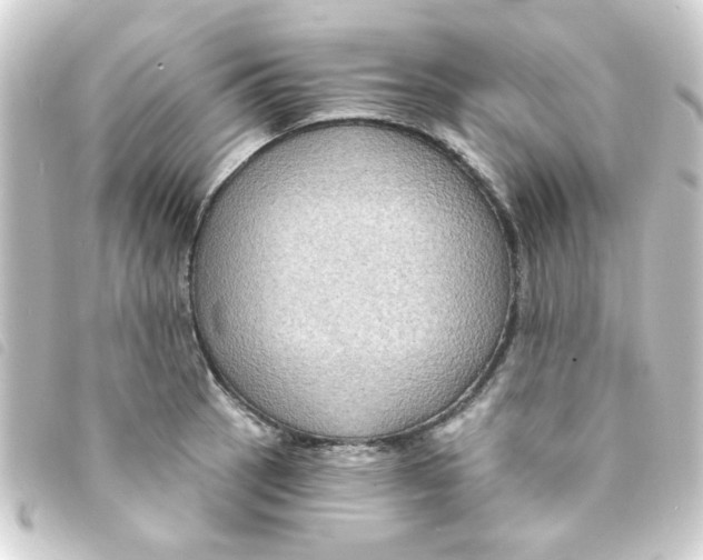 X0000093251137200710241309