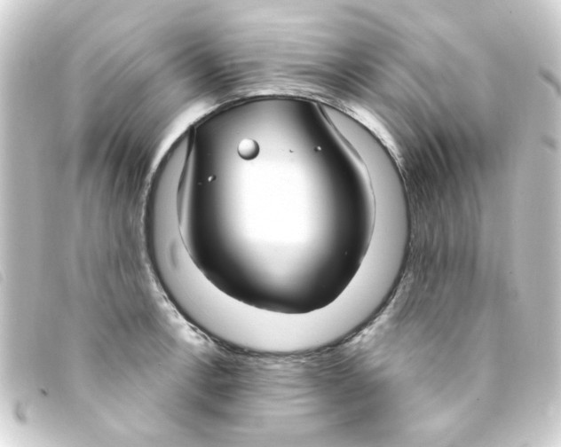 X0000093251138200710241309