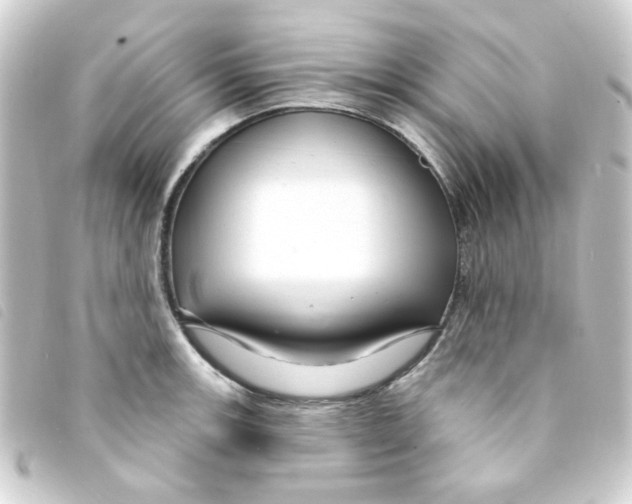 X0000093251139200710241309