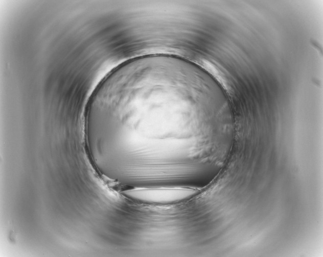 X0000093251140200710241309