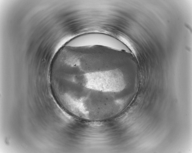 X0000093251141200710241309