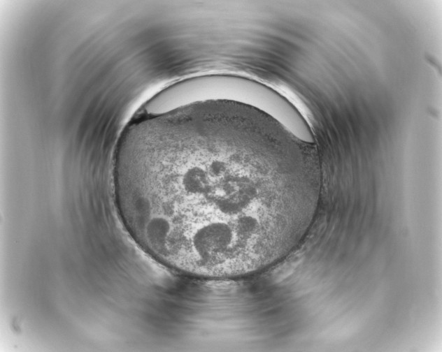 X0000093251142200710241309