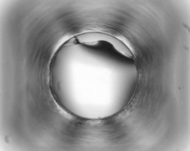 X0000093251143200710241309