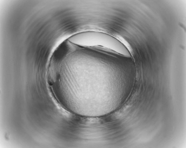 X0000093251144200710241309