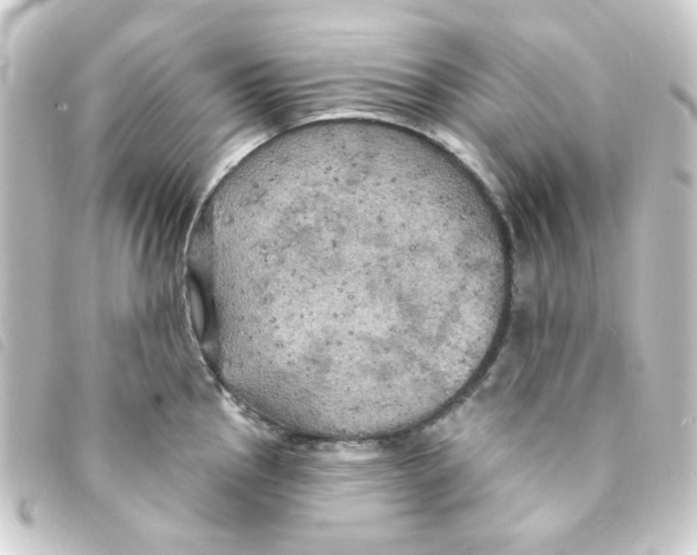 X0000093251145200710241309