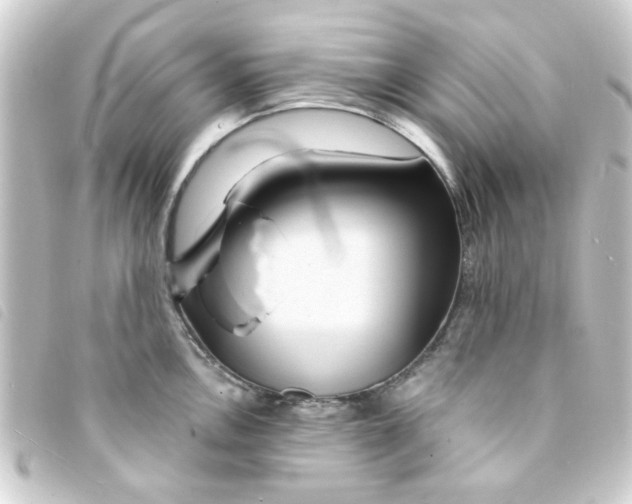 X0000093251146200710241309