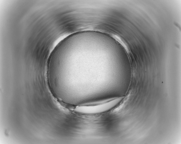 X0000093251149200710241309