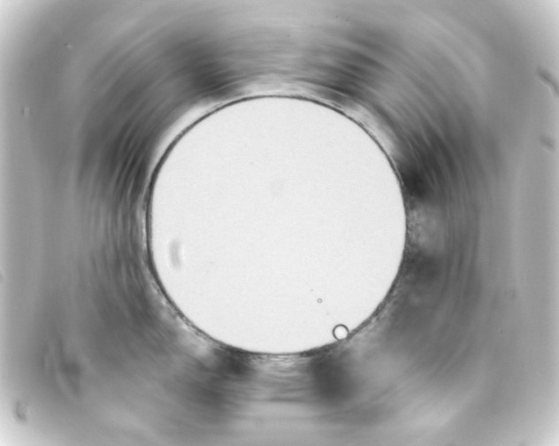 X0000093251150200710241309