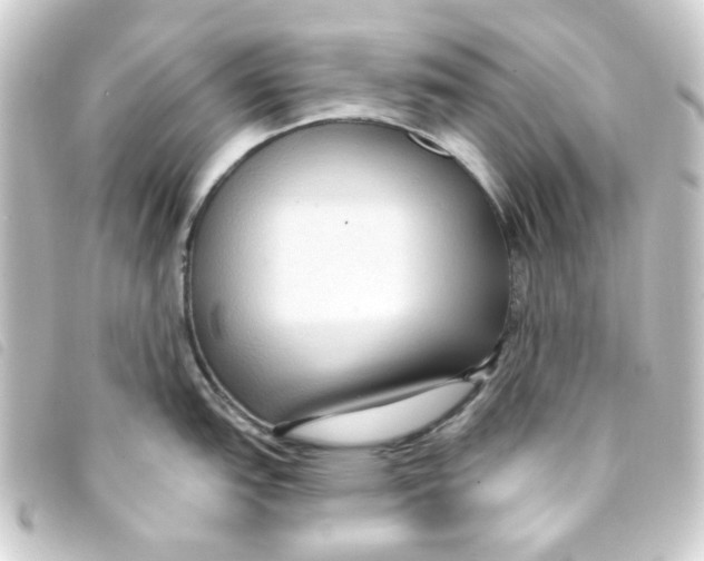 X0000093251151200710241309