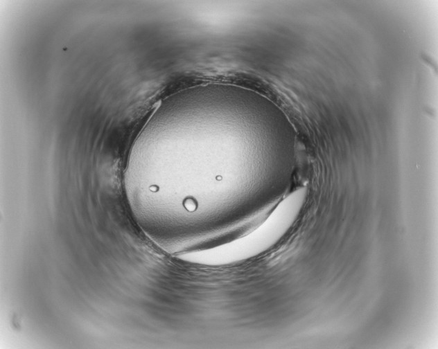 X0000093251156200710241309