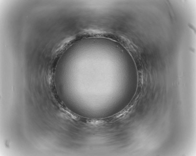 X0000093251157200710241309