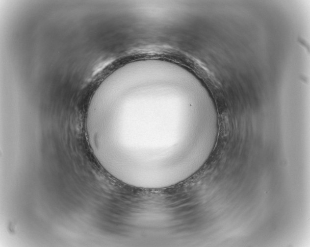 X0000093251158200710241309