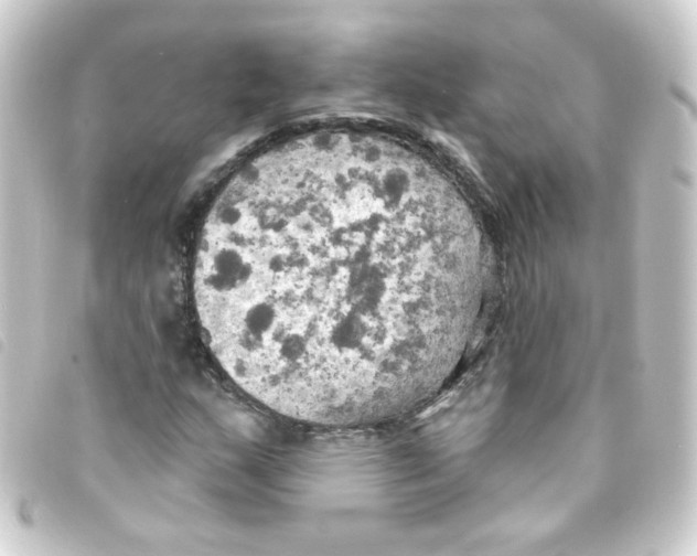 X0000093251159200710241309