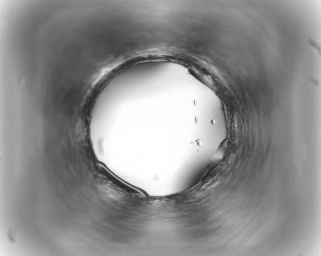 X0000093251160200710241309