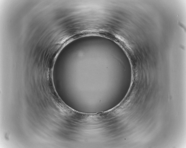 X0000093251161200710241309