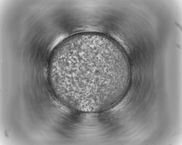 X0000093251163200710241309