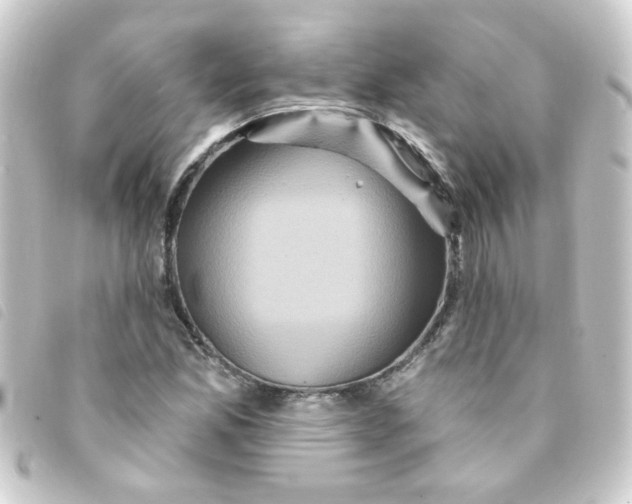 X0000093251165200710241309