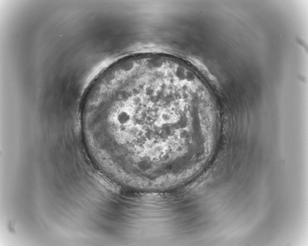 X0000093251167200710241309