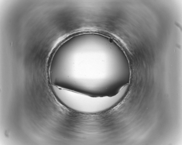 X0000093251168200710241309