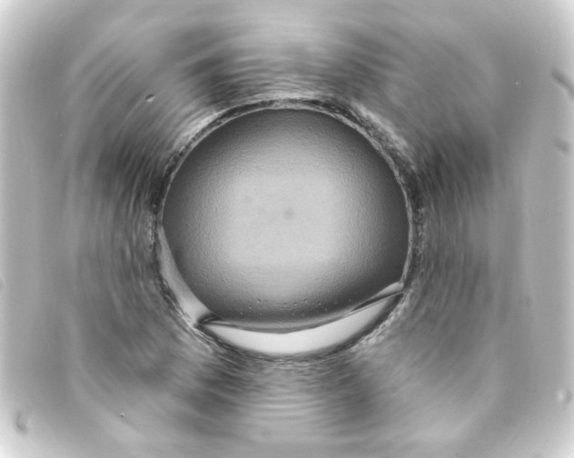 X0000093251169200710241309