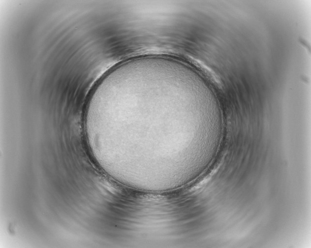 X0000093251170200710241309