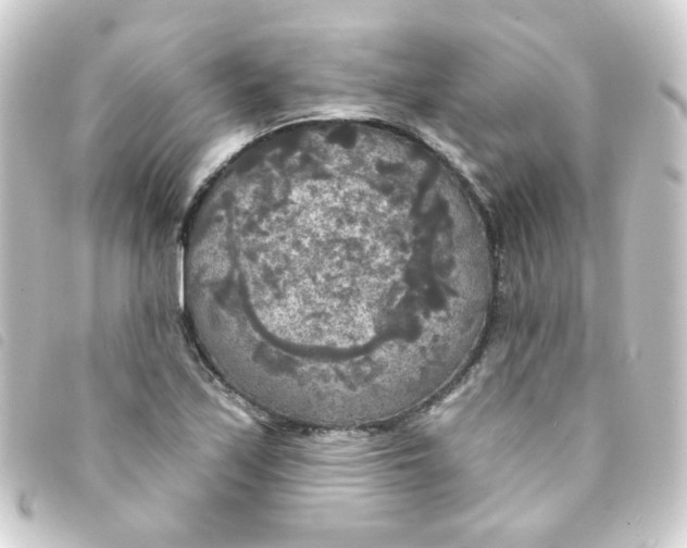 X0000093251171200710241309