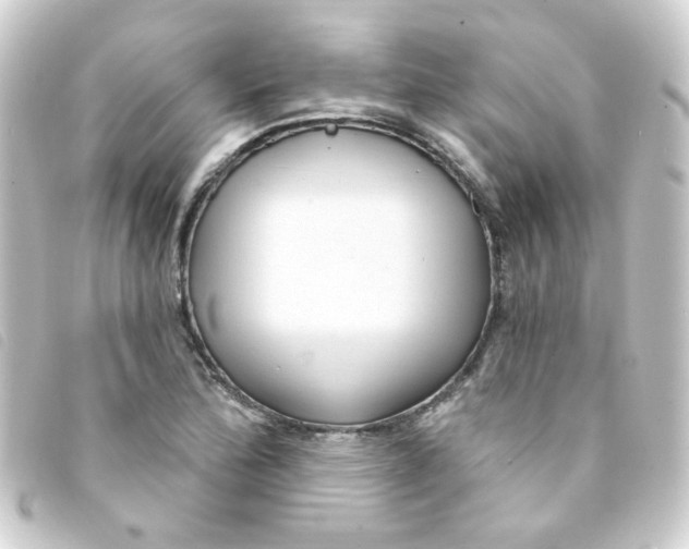 X0000093251172200710241309