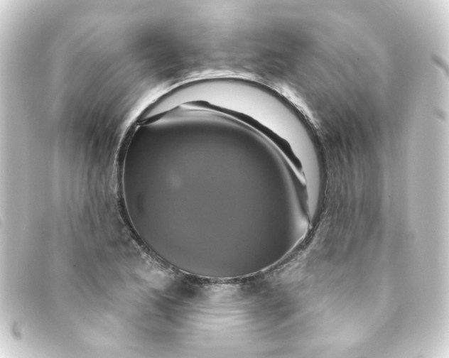 X0000093251173200710241309