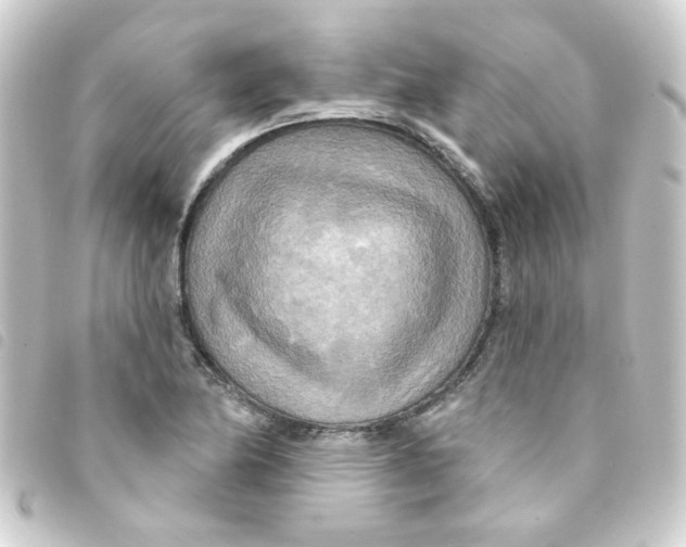 X0000093251174200710241309